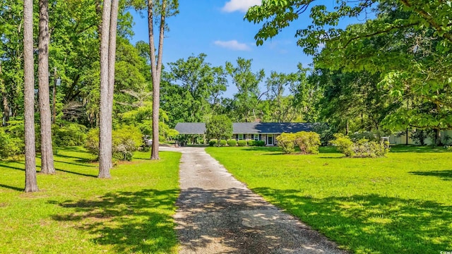 1032 Chelsey Cir, Conway, SC 29526 - view of front of property with dirt driveway, a front yard, and a chimney
