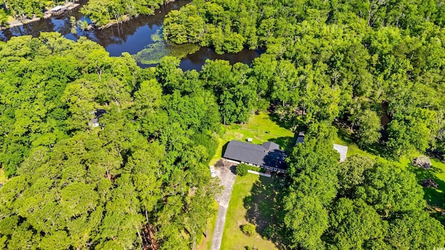 1032 Chelsey Cir, Conway, SC 29526 - bird's eye view of a large body of water