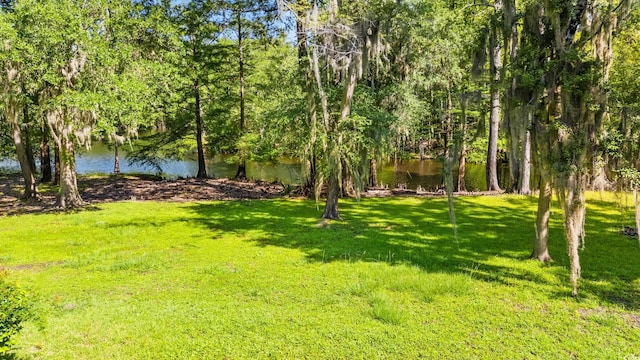 1032 Chelsey Cir, Conway, SC 29526 - view of grassy yard featuring a water view