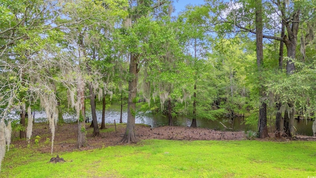 1032 Chelsey Cir, Conway, SC 29526 - view of green lawn featuring a water view