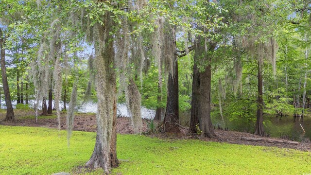 1032 Chelsey Cir, Conway, SC 29526 - view of green lawn