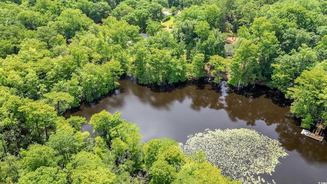 1032 Chelsey Cir, Conway, SC 29526 - bird's eye view of a nearby body of water and a heavily wooded area