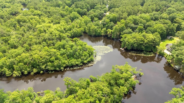 1032 Chelsey Cir, Conway, SC 29526 - bird's eye view of a large body of water and a forest