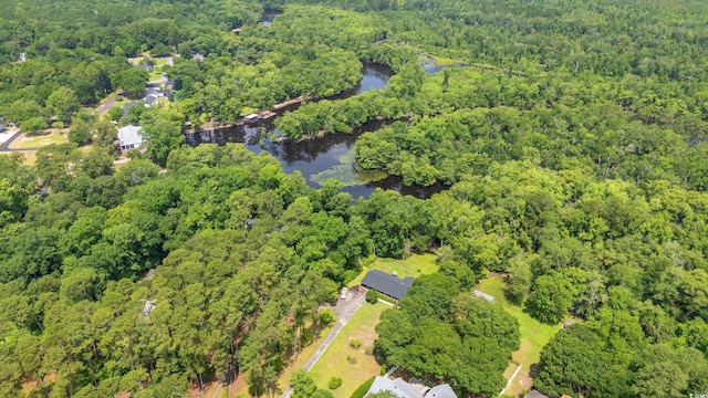 1032 Chelsey Cir, Conway, SC 29526 - view of property location featuring a forest and a large body of water