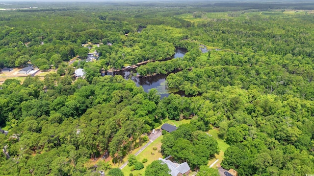 1032 Chelsey Cir, Conway, SC 29526 - aerial overview of property's location with a forest and a large body of water