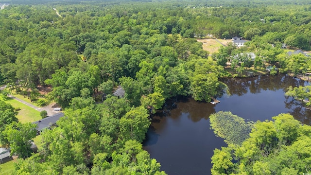 1032 Chelsey Cir, Conway, SC 29526 - view of property location with a nearby body of water and a forest