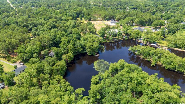 1032 Chelsey Cir, Conway, SC 29526 - aerial view of property and surrounding area with a heavily wooded area and a nearby body of water