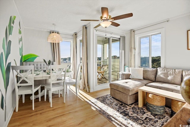 9400 Shore Dr Unit 409, Myrtle Beach, SC 29572 - sunroom / solarium with wood finished floors and ornamental molding