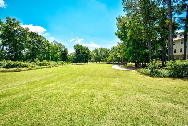 5650 Barefoot Resort Bridge Rd Unit 431, North Myrtle Beach, SC 29582 - view of grassy yard featuring view of scattered trees