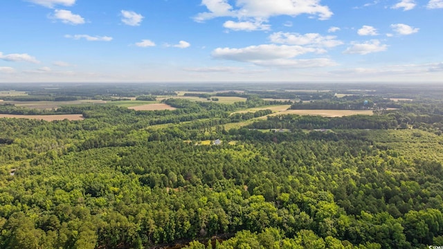 TBD Lee Ln, Bennettsville, SC 29512
