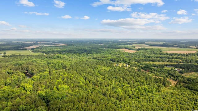TBD Lee Ln, Bennettsville, SC 29512