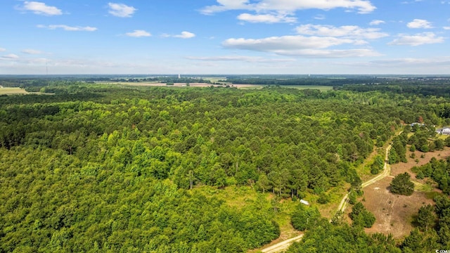 TBD Lee Ln, Bennettsville, SC 29512