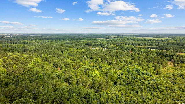 TBD Lee Ln, Bennettsville, SC 29512
