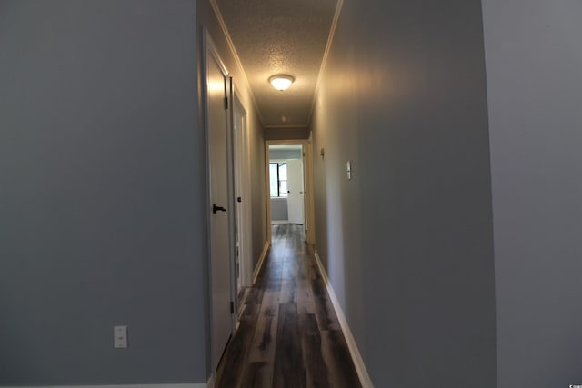 950 Forestbrook Rd Unit B-8, Myrtle Beach, SC 29588 - hallway with a textured ceiling, dark wood finished floors, crown molding, and attic access