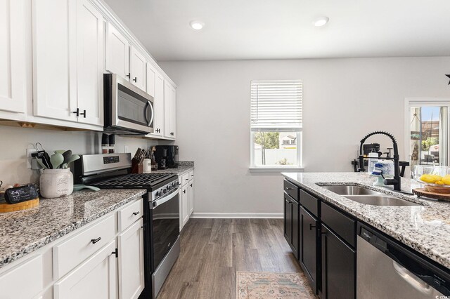 651 Choctaw Dr, Conway, SC 29526 - kitchen featuring stainless steel appliances, white cabinetry, plenty of natural light, wood finished floors, and recessed lighting