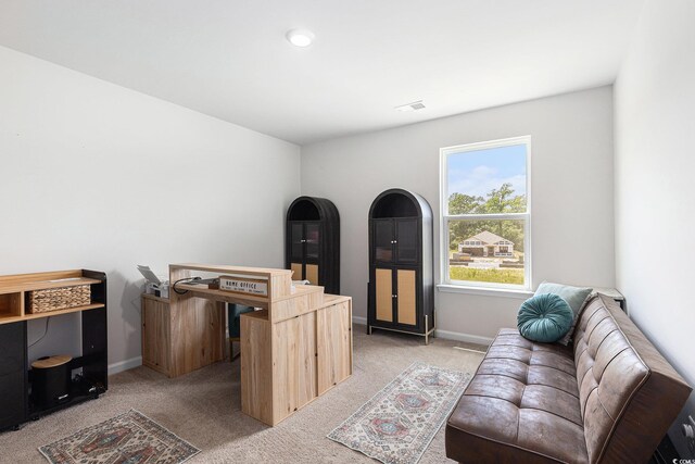 651 Choctaw Dr, Conway, SC 29526 - living area featuring light carpet
