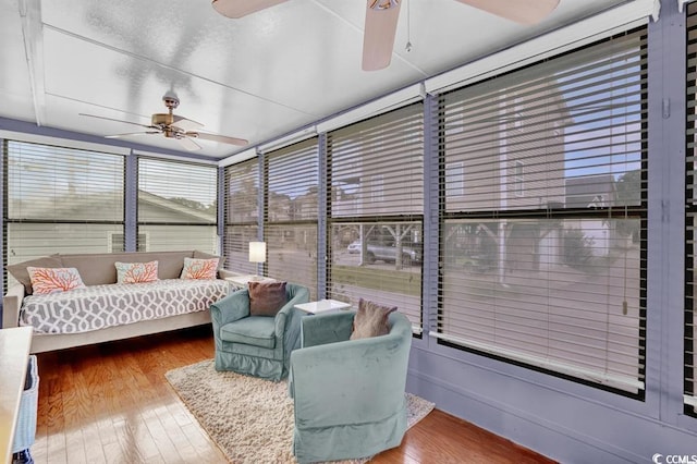 6001-1459 S Kings Hwy, Myrtle Beach, SC 29575 - sunroom featuring a ceiling fan