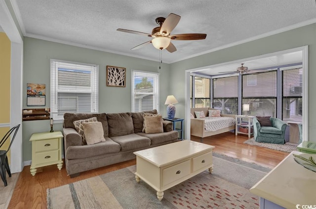 6001-1459 S Kings Hwy, Myrtle Beach, SC 29575 - living room with ceiling fan, wood finished floors, a textured ceiling, and crown molding