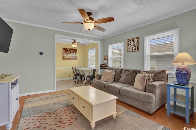 6001-1459 S Kings Hwy, Myrtle Beach, SC 29575 - living room with light wood-style flooring, crown molding, a textured ceiling, and a ceiling fan