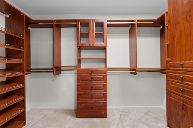 571 Fernwood Rd, Murrells Inlet, SC 29576 - spacious closet with carpet floors