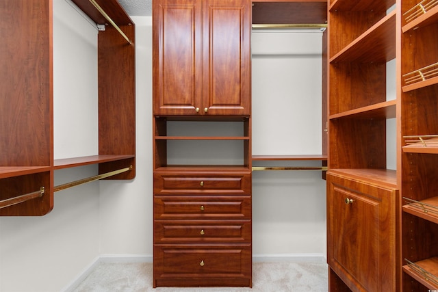 571 Fernwood Rd, Murrells Inlet, SC 29576 - walk in closet with light colored carpet