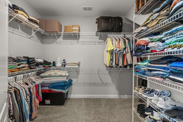 264 Switchgrass Loop, Little River, SC 29566 - spacious closet featuring carpet flooring