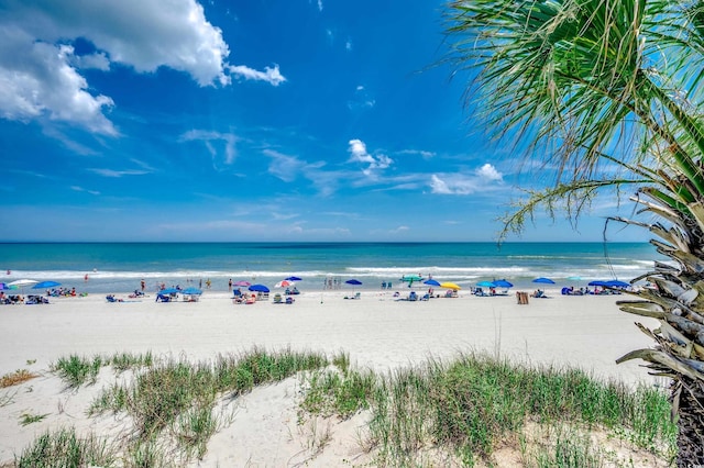 720 N Waccamaw Dr Unit 205, Garden City Beach, SC 29576 - photo 13