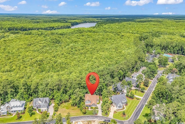 128 Knotty Pine Way, Murrells Inlet, SC 29576 - aerial view of residential area with a forest