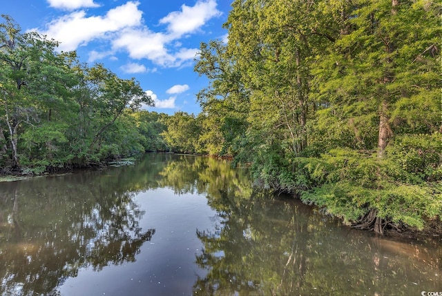 128 Knotty Pine Way, Murrells Inlet, SC 29576 - water view featuring a forest