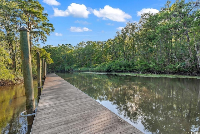 128 Knotty Pine Way, Murrells Inlet, SC 29576 - dock with a forest view and a water view