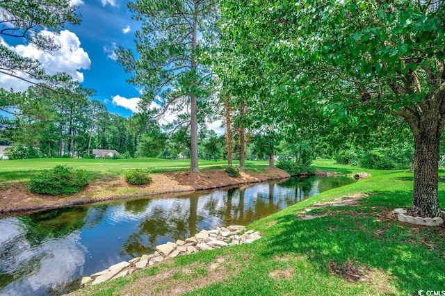 456 Colonial Trace Dr Unit 13-E, Longs, SC 29568 - water view featuring a tree filled landscape