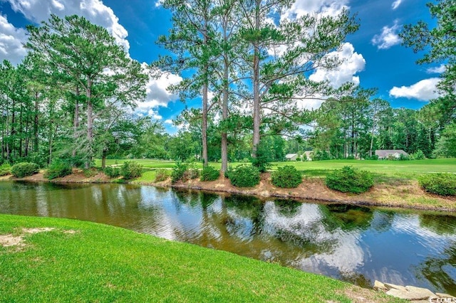 456 Colonial Trace Dr Unit 13-E, Longs, SC 29568 - water view