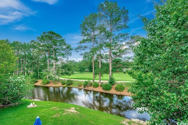 456 Colonial Trace Dr Unit 13-E, Longs, SC 29568 - water view