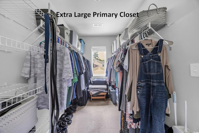 788 Dusty Pine Way, Myrtle Beach, SC 29588 - walk in closet featuring carpet flooring