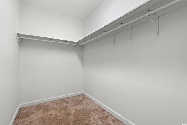 307 Russ Rd, Loris, SC 29569 - walk in closet with carpet floors