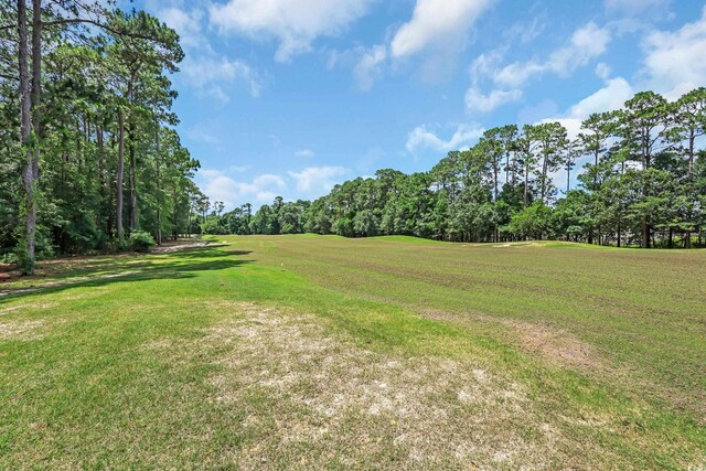 4536 Fringetree Dr, Murrells Inlet, SC 29576 - photo 33