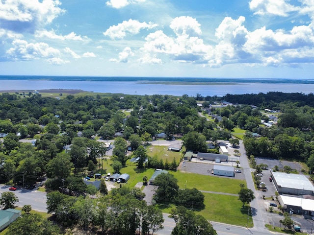 2021 Loblolly St, Georgetown, SC 29440 - drone / aerial view of a large body of water