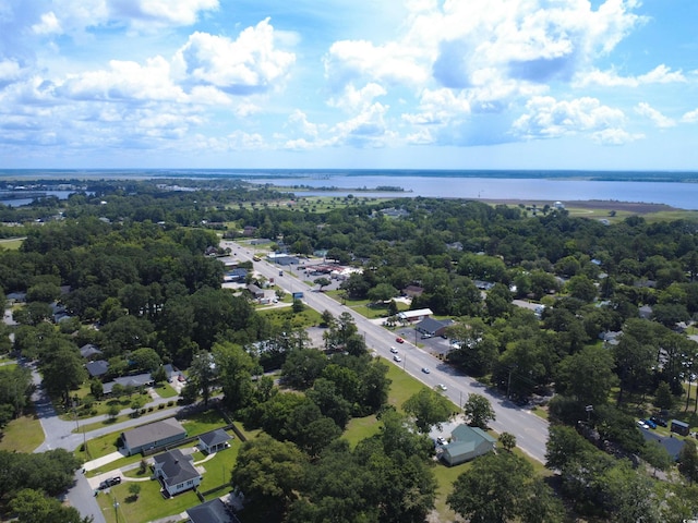 2021 Loblolly St, Georgetown, SC 29440 - aerial view of a nearby body of water