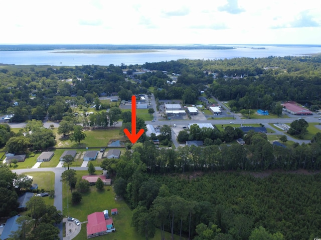 2021 Loblolly St, Georgetown, SC 29440 - bird's eye view of a nearby body of water and a forest