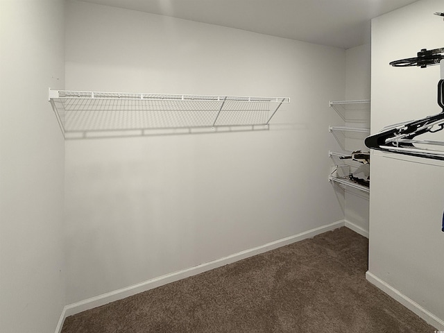 2021 Loblolly St, Georgetown, SC 29440 - spacious closet featuring carpet