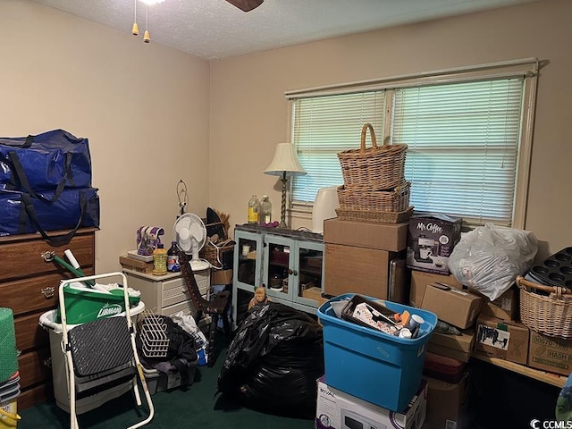 4041 Long Line Ln, Myrtle Beach, SC 29579 - storage featuring ceiling fan