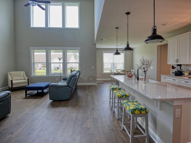 376 Mikita Dr, Surfside Beach, SC 29575 - kitchen featuring white cabinets, dark wood finished floors, a kitchen bar, and open floor plan