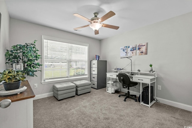 1100 Rosetta Dr, Conway, SC 29526 - photo 26