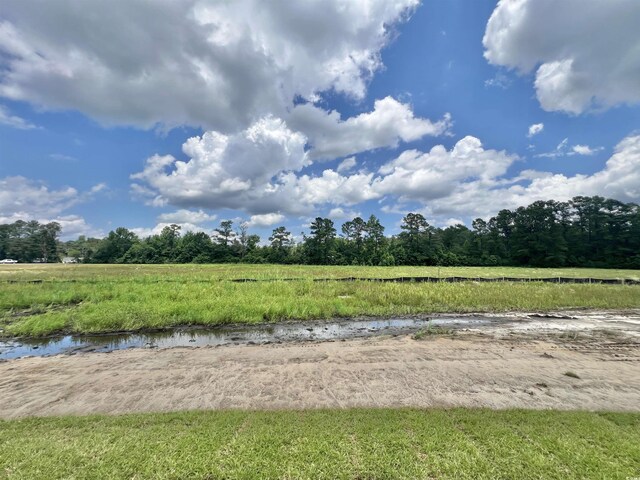 189 Norris Ln, Loris, SC 29569 - photo 3