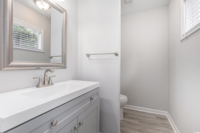 800 Egret Cir Unit 53, Little River, SC 29566 - half bath with vanity, wood finished floors, and a textured ceiling