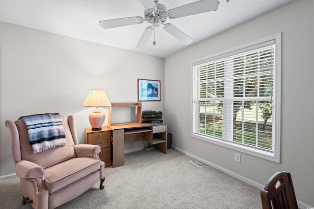 503 20th Ave N Unit 9D, North Myrtle Beach, SC 29582 - office space featuring plenty of natural light, carpet flooring, and ceiling fan