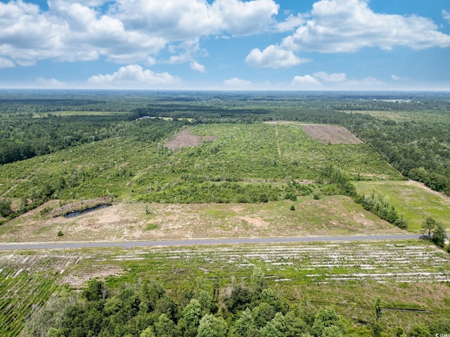 TBD Bellaire Dr, Nichols, SC 29581