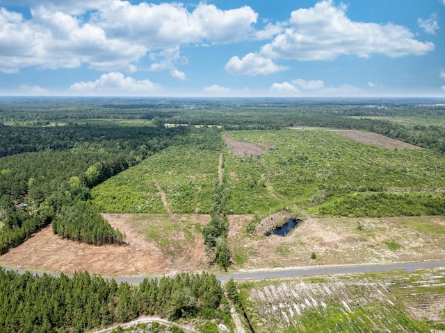 TBD Bellaire Dr, Nichols, SC 29581