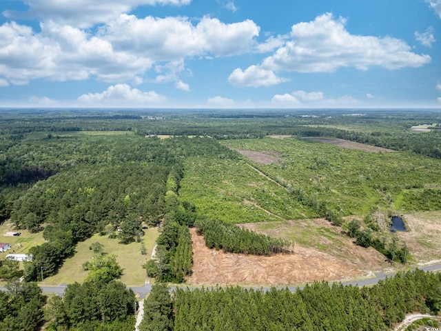 TBD Bellaire Dr, Nichols, SC 29581