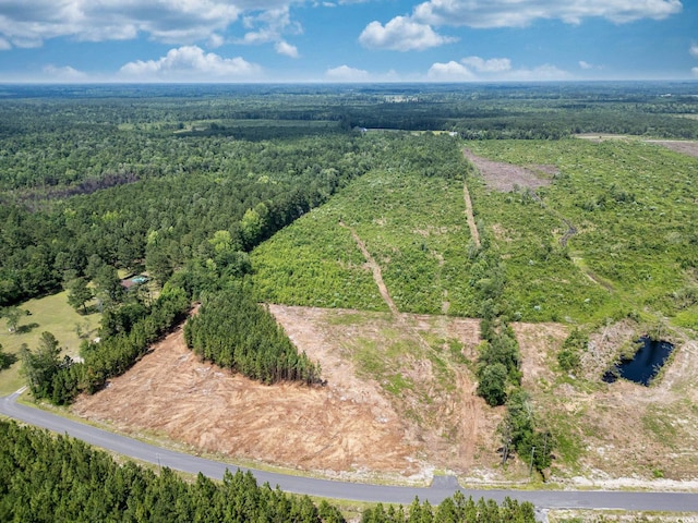 TBD Bellaire Dr, Nichols, SC 29581